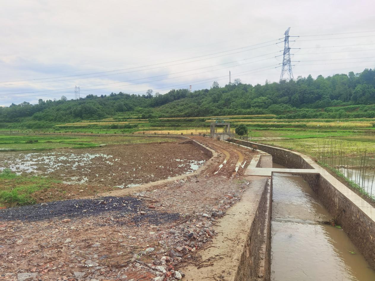 邵阳市大祥区雨溪街道：科技助力水稻育秧 智慧种地助农增收(图4)