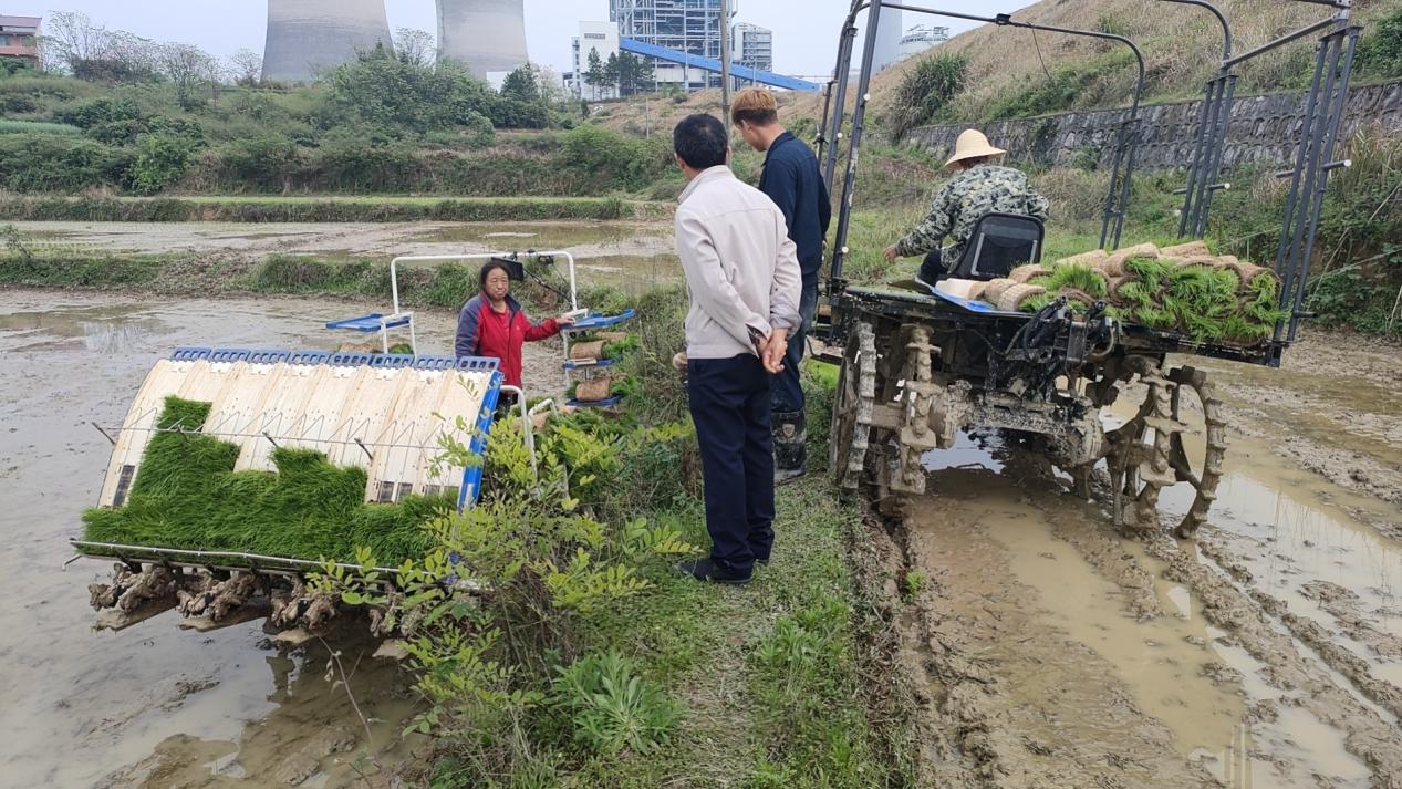 邵阳市大祥区雨溪街道：科技助力水稻育秧 智慧种地助农增收(图5)