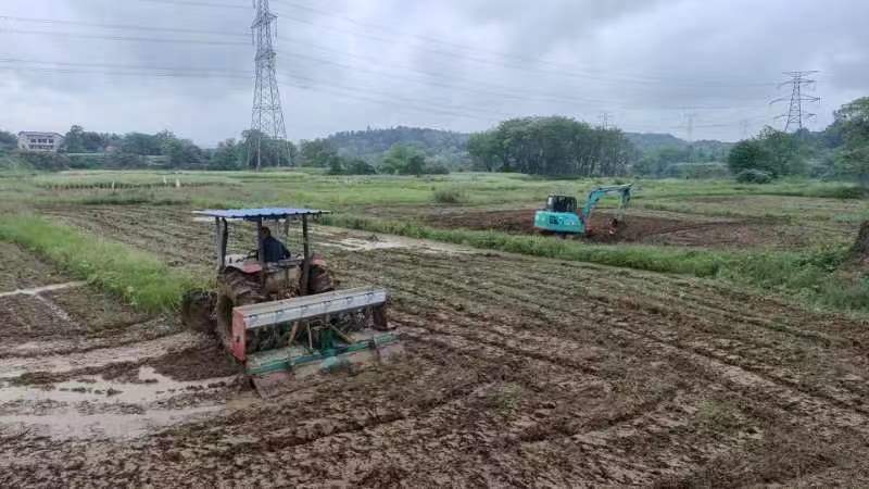 邵阳市大祥区雨溪街道：科技助力水稻育秧 智慧种地助农增收(图6)