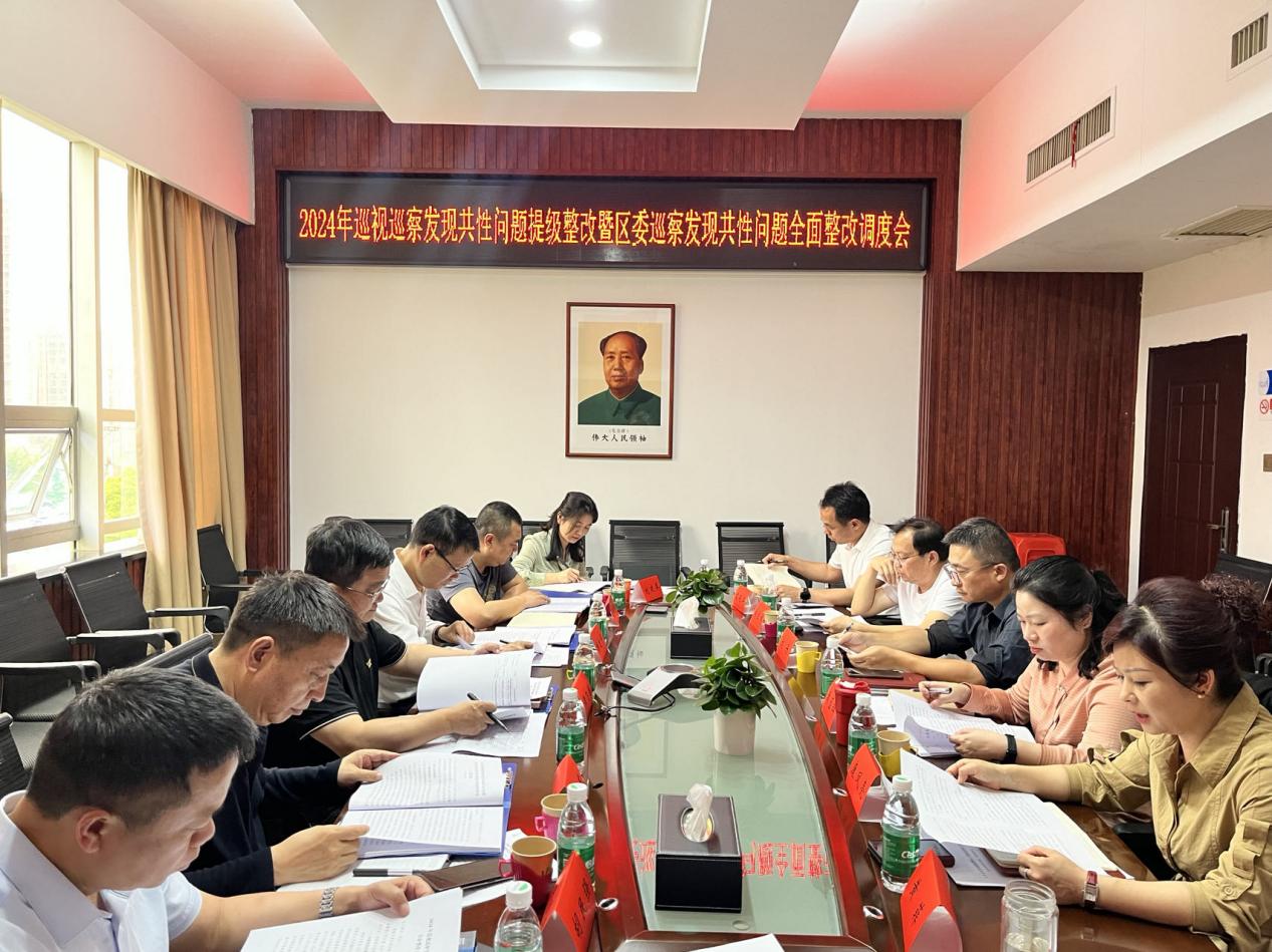 大祥区召开2024年巡视巡察发现共性问题提级整改暨区委巡察发现共性问题全面整改调度会(图1)