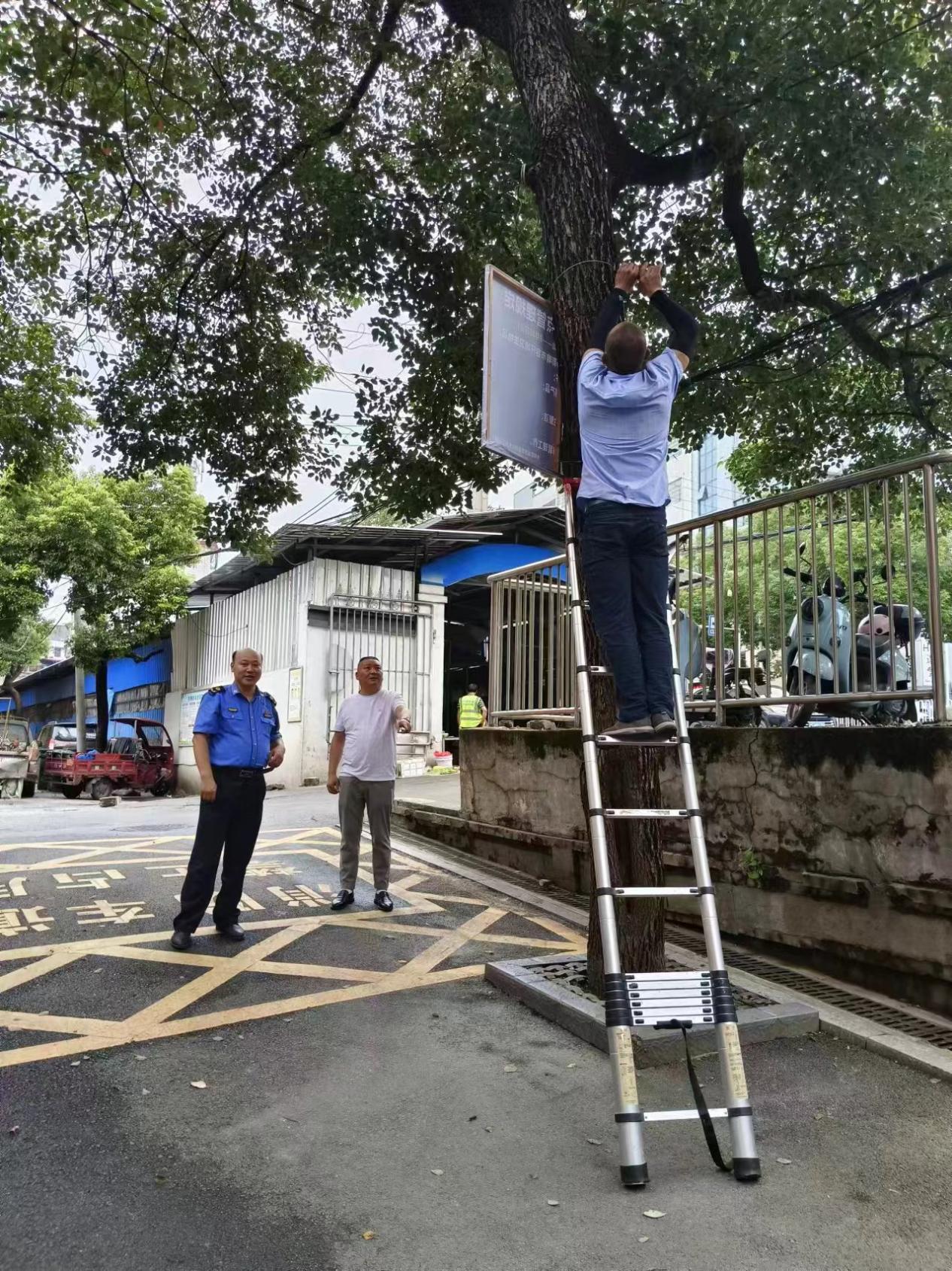 大祥城管设置临时销售点，让瓜农快乐“安家”(图3)