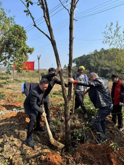 大祥区自然资源局开展义务植树活动