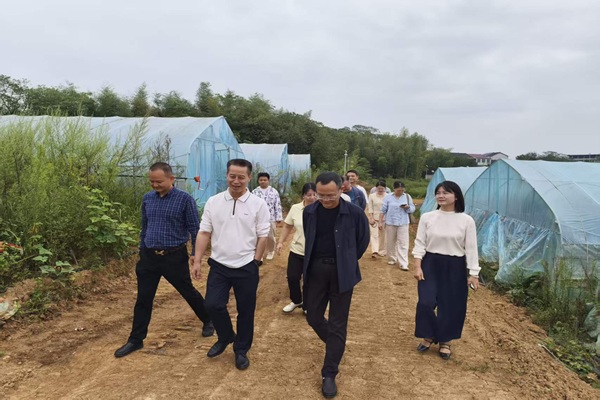 蔡治军赴李家山村调研乡村振兴工作